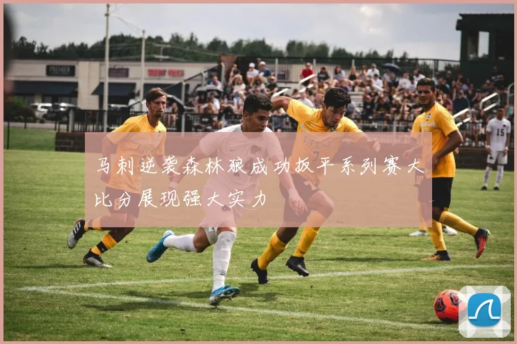 马刺逆袭森林狼成功扳平系列赛大比分展现强大实力